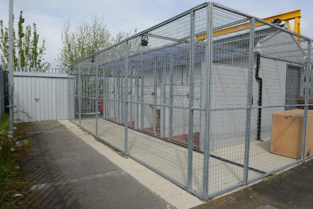 Dog-Kennel-for-DBC